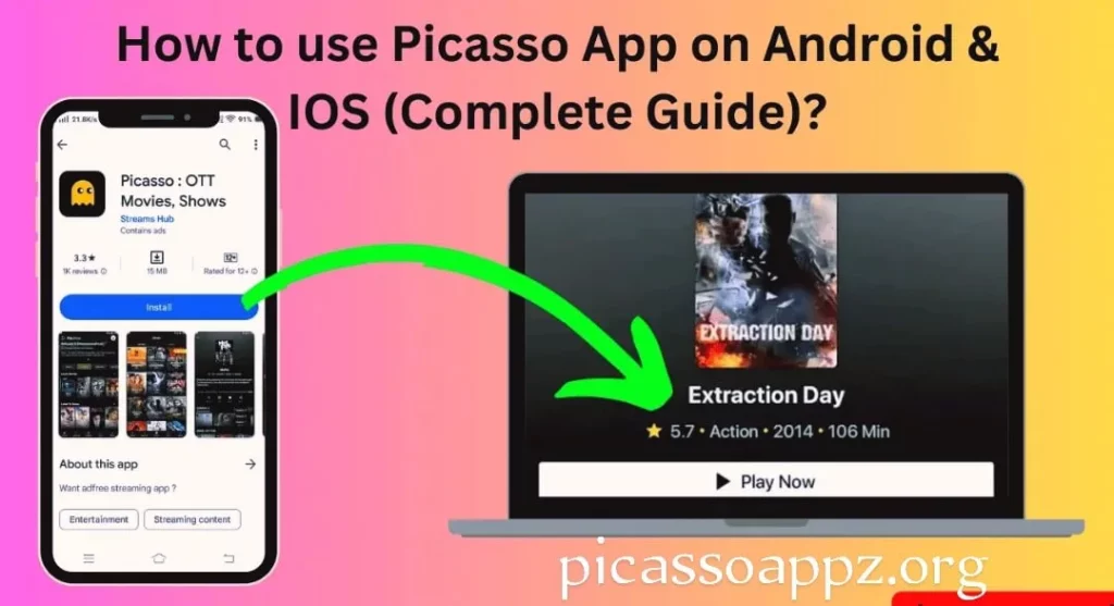 use Picasso App