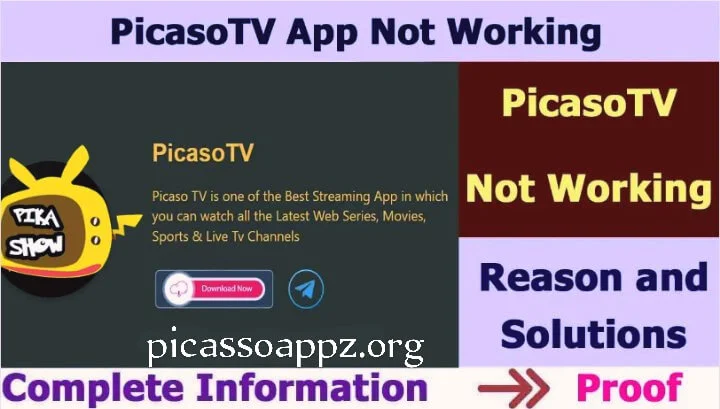 Picasso app not working